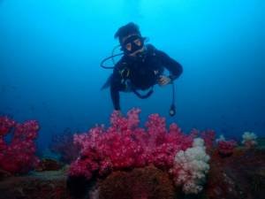 Honeymoon Island phuket scuba diving at Maiton Island