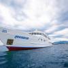 Richelieu Rock & Surin Islands-similan-liveaboard 5