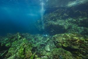 scuba diving at Surin Island