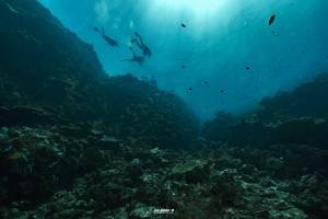 scuba diving at Surin Islandn1